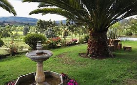 Cabaña NIDO VERDE